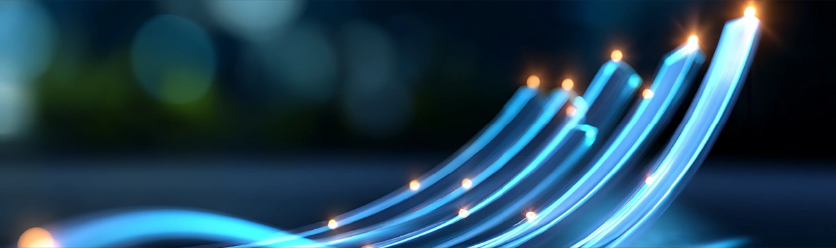SAP SuccessFactors Performance and Goal Management
