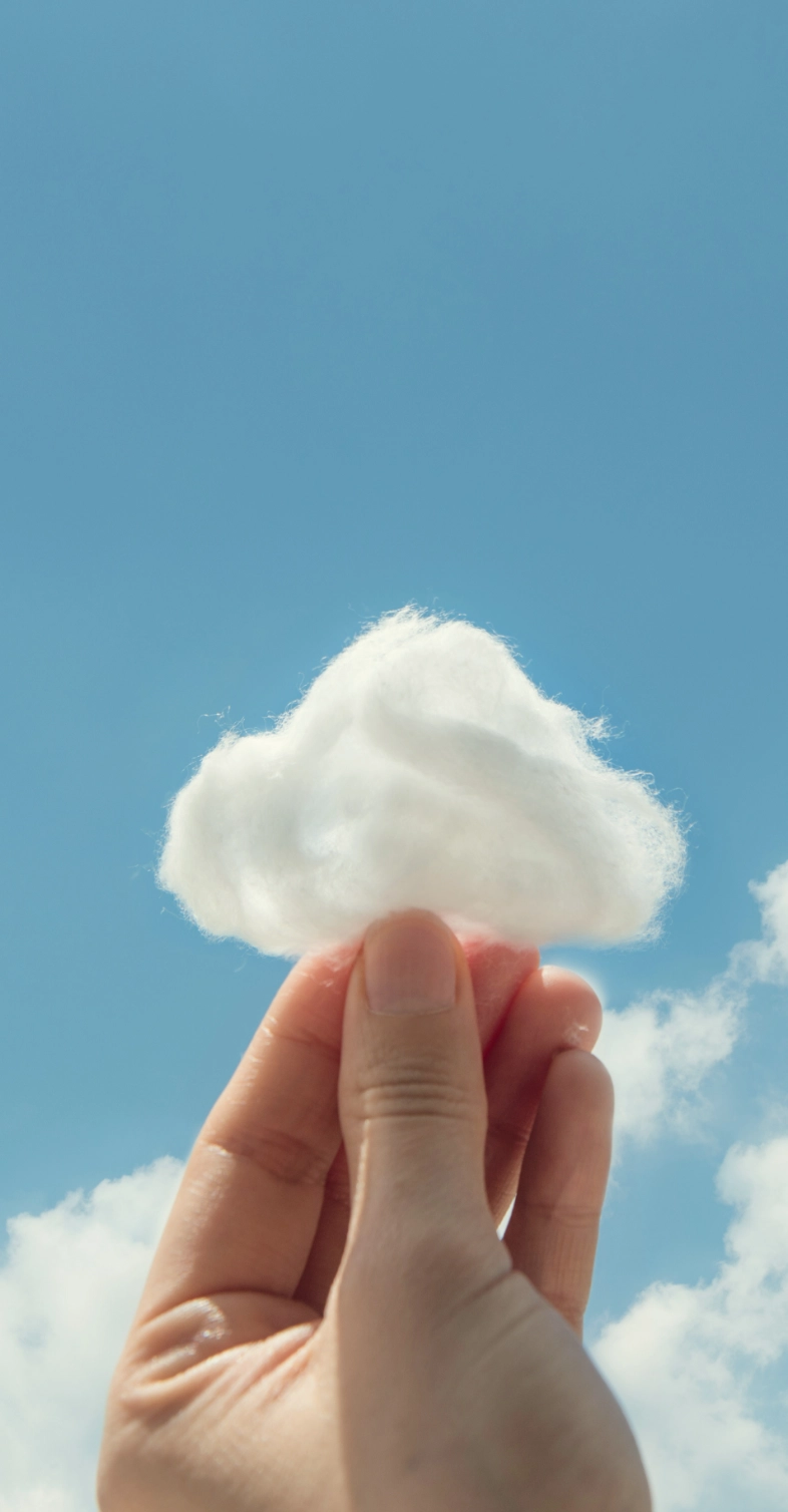 Connect SAP Business image